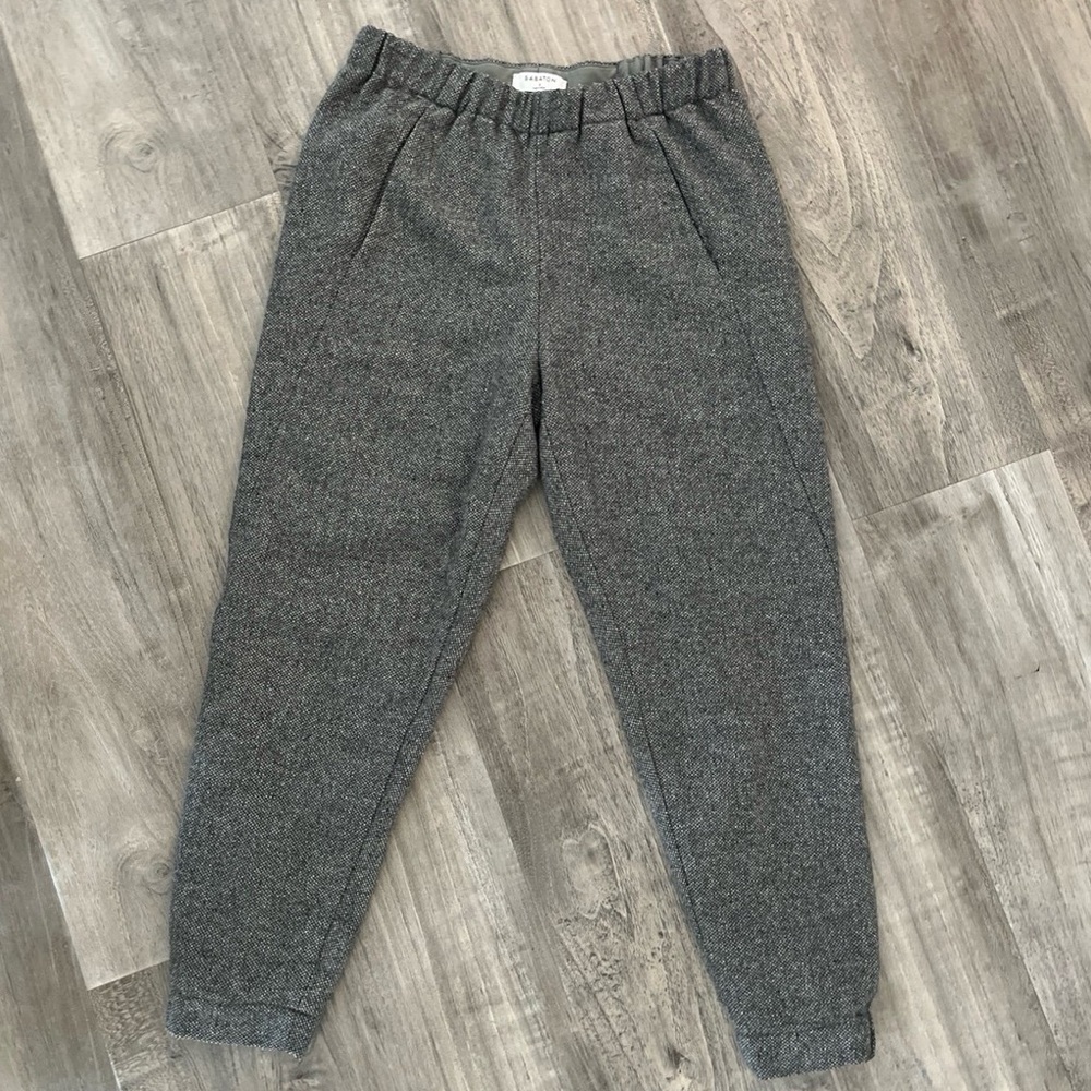 Aritzia babaton dexter pants